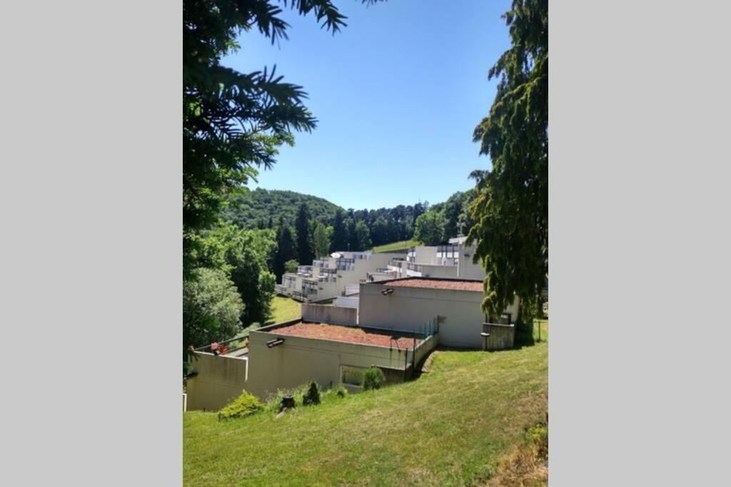 Studio Au Coeur Des Volcans D Auvergne - Murol Exterior photo