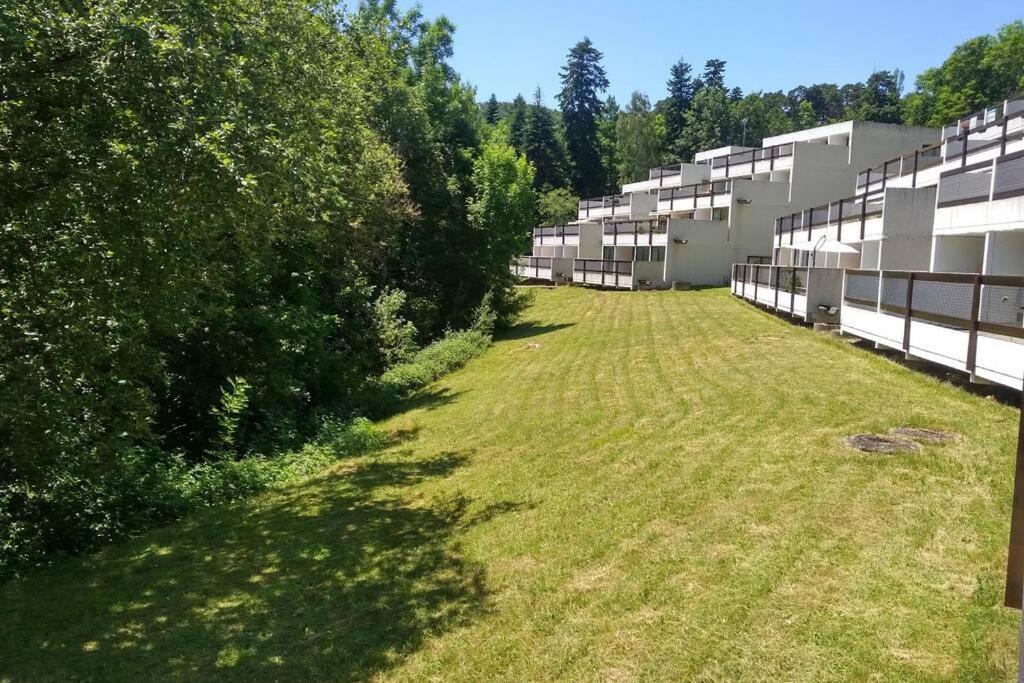 Studio Au Coeur Des Volcans D Auvergne - Murol Exterior photo
